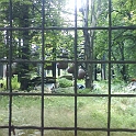 2009_LV_LT_SV_D 261